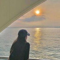 McNayle (@mcnayle65908) 's Twitter Profile