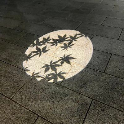 FukuKanaX's profile picture. 愛知県在住/前職フロント/PHP ТРКИ-1/ITパス/AWS CLF/SAA/SOA/DVA SAP-勉強中