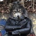 개퍼さんのプロフィール画像