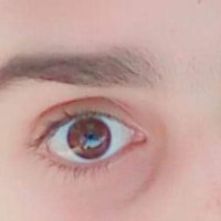 زاير سيؤن والمكلا والشحر (@he2022m) 's Twitter Profile
