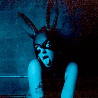 s i r e n (@sirenobscura) 's Twitter Profile