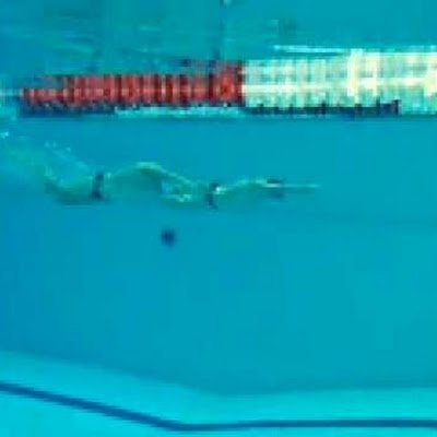 HelloNumbe9902's profile picture. Toxic BTC maxi and carnivore dad
Free speech maxi