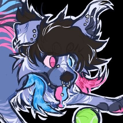 CALICO/FOX !!さんのプロフィール画像