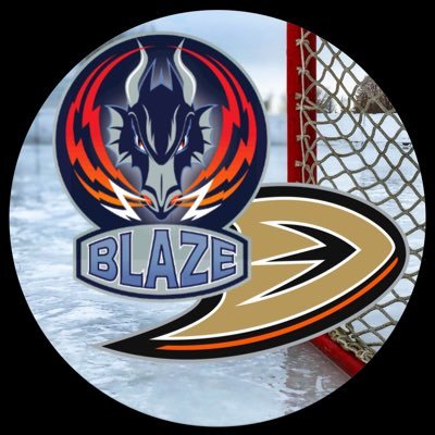 #CoventryBlaze and #AnaheimDucks supporter 🏒⛸️ #FlyTogether