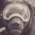 1LT Mazo (@shifty4u2) Twitter profile photo 1LT Mazo (@shifty4u2) Twitter profile photo