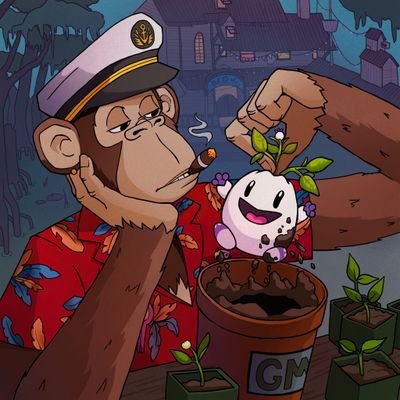 Ajaksolat4's profile picture. 🔮 Wiz @AvalonFinance_