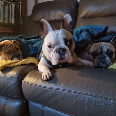 Cairi_Mckenzie's profile picture. Be happy being your best.