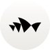 Sydney Opera House (@sydoperahouse) Twitter profile photo Sydney Opera House (@sydoperahouse) Twitter profile photo