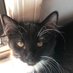 Joyce Robbins (@desertjoy1126) Twitter profile photo Joyce Robbins (@desertjoy1126) Twitter profile photo