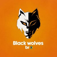 Black Wolves Brasil(@BlackWolves_BR) 's Twitter Profile Photo