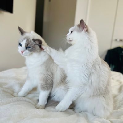 pM22ZiVBPH44776's profile picture. 