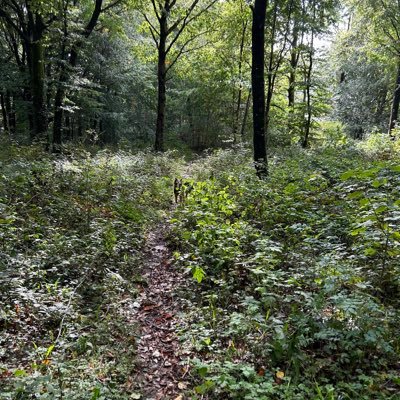 whatsforye's profile picture. Views are my own.