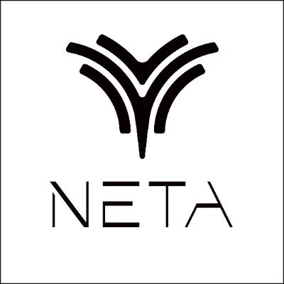 Neta Auto, una empresa impulsada por la innovación ¡Abraza la vida verde con nosotros!