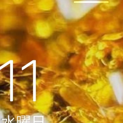 yutakattilovez's profile picture. 