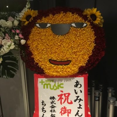 N04H06's profile picture. 関西AIM / jam's🍏/セカオワ