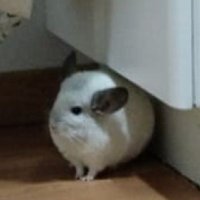 AIMX Beta ๐ช๐ธ (@betaonx_1) 's Twitter Profile