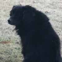 AVALON22 (@trchwarrior) 's Twitter Profile