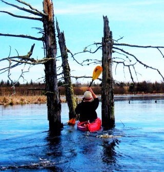 ColinBeaton's profile picture. 