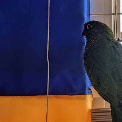 nkitanas_'s profile picture. 