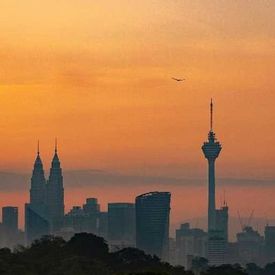 WanQameel2003's profile picture. I am the Autism Boy