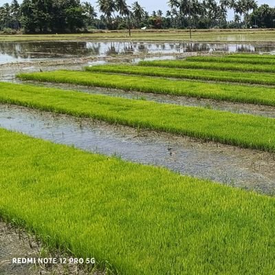 Agri-culture. Fan (❤) of Kamarajar and Voice of RajKumar. Still_Single(+/-)life.