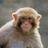 mariewidor's profile image