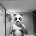 Hi_panda (@hii_pandaa) Twitter profile photo Hi_panda (@hii_pandaa) Twitter profile photo