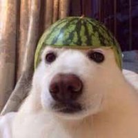 Albin (@akamycs) 's Twitter Profile