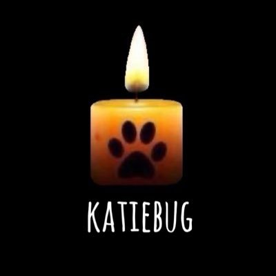 Benny & Doops are always with me! OTRB 2022 Katiebug OTRB 2023🌈💔🐾 Boomies Girl Friend