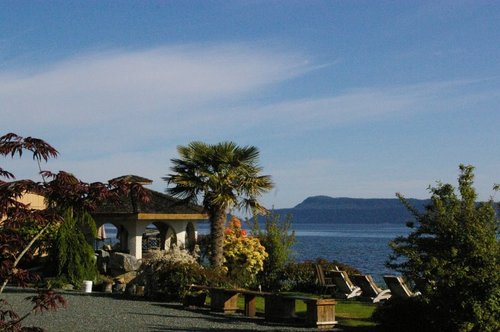 Beachfront fully equipped suites, log home & cozy cottages on #VancouverIsland. FREE kayak rentals and fresh clams/oysters on our doorstep!