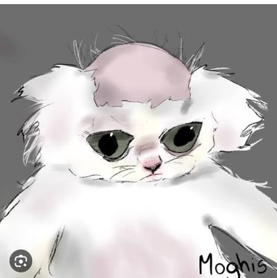 Crawley_BR's profile picture. nhaa