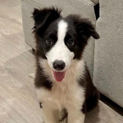 homie608's profile picture. 💚💚💚💚💚💚💚GOT7 💚หยิ่นวอร์