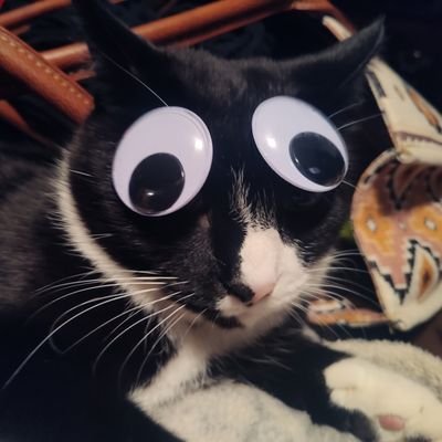 Cancer Survivor TheCatmanWholols Beep/Bop/Boop #oldcomicbookday Cat Person Mortally Challenged
Bruised but not Buried! Level 44
