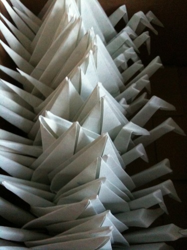 annodenimii's profile picture. Retired university Printed Textile Tech. Now enjoying a seven day weekend.