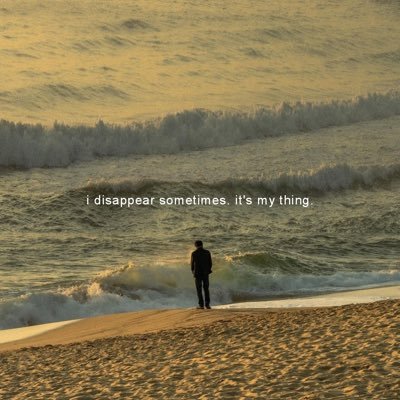 Zicco_Nguyen's profile picture. Bugs {Pentest} & Chess !!!