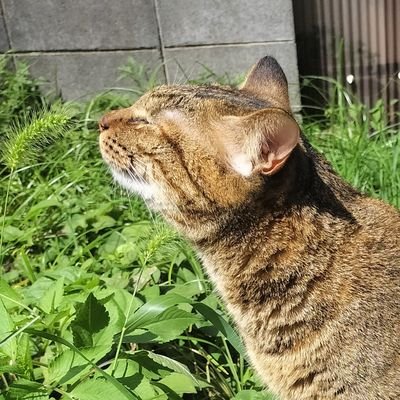 きっと今日から政治も生活も自分も変えられる。みんなで勇気を出して歩いてみましょう。政治家【特に維新】の醜さが見過ごせ無い所まで来てるので、政治家【特に維新】に対しては厳しい批判をさせて頂きます。ルール制度によって人は死にます。政治家【クソ維新】に生活が壊される事が無いよう、強く批判させて頂きます