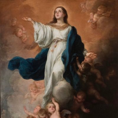 🙏🏻 Thank you Blessed Mother for giving us the gifts of the Holy Rosary, The Brown Scapular & The Miraculous Medal 🙏🏻