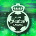 Santos Laguna Fans (@SantosLagunFans) Twitter profile photo