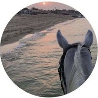 Naief Gaber (@gabernaief59581) Twitter profile photo