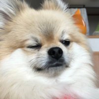 Tsuburalien 👽 CG (@tsubucg) Twitter profile photo