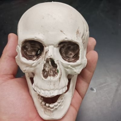 AydTwowolves's profile picture. 19
I don't post anything so like