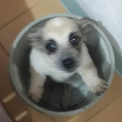 living idly and dying as if dreaming | memento mori | 6 /19/23 🐶 | 1 Peter 5:7 | NIX