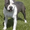 David Nalls - @davenalls - Twitter