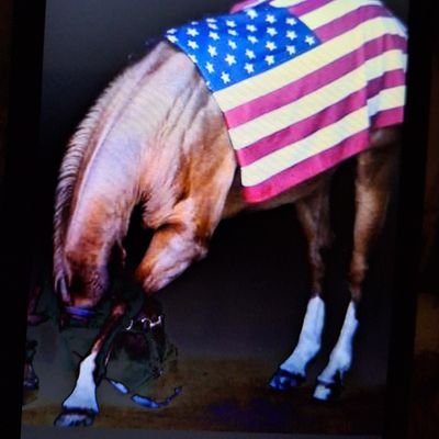 SpectrumandX's profile picture. Northern Colorado https://t.co/UF9aKYbDeA X Media YouTube to   X   Theresa Shelton In The Line Of Duty facebook