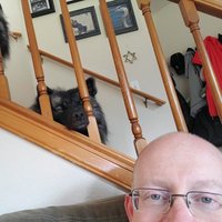 Adonipriapus (@adonipriapus) 's Twitter Profile