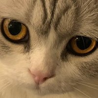 meaowgolf. (@meawgolf_) 's Twitter Profile Photo