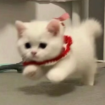 Rrrrbrn_ty's profile picture. 