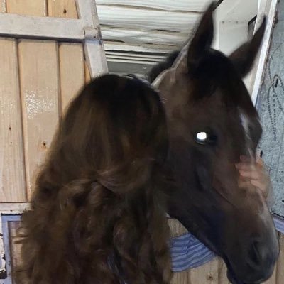 uxrive's profile picture. يـا قـديم الغـوص..