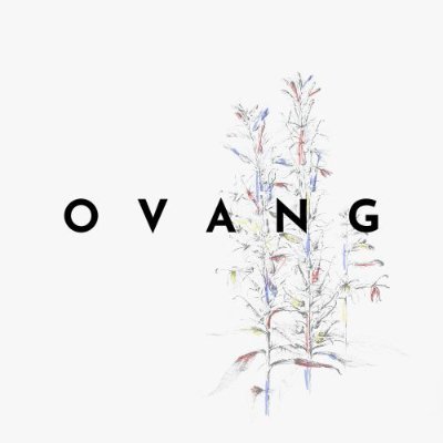 ovang_co Profile Picture