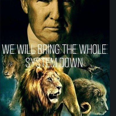 Entrepreneur. MAGA. KAG. President Trump. Q. Anons. United States Military. Digital Soldier. Spiritual Warrior. Marker 2. Trust the Plan. God Wins. WWG1WGA